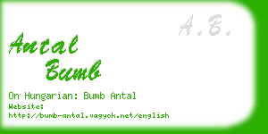 antal bumb business card